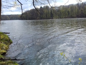 20170501 153003