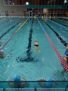 20882088 636752236533449 4927920551653268465 n