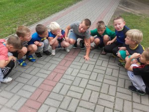 20882920 636888259853180 4344469819923032018 n